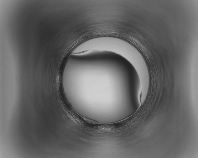 X0000113030405200909171505