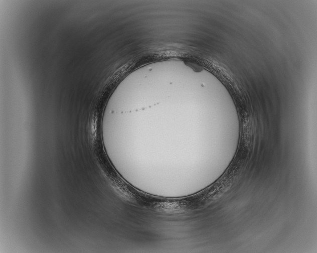 X0000113030406200909171505