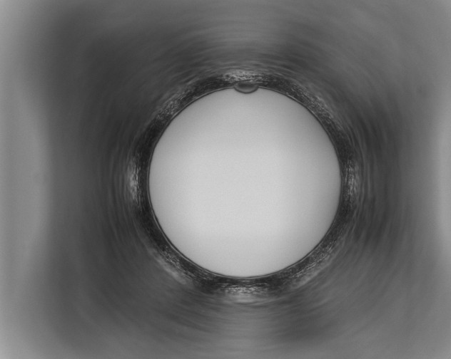 X0000113030408200909171505