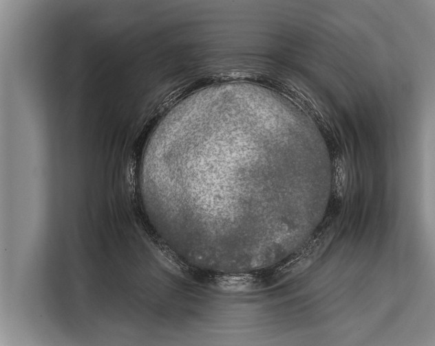 X0000113030410200909171505