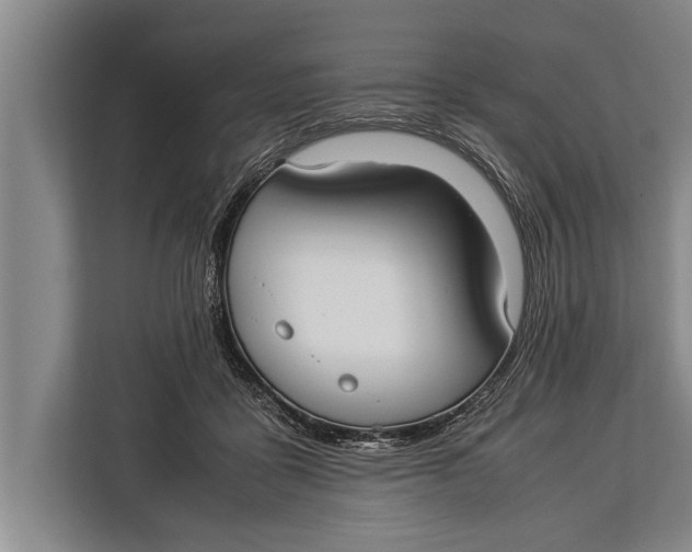 X0000113030411200909171505