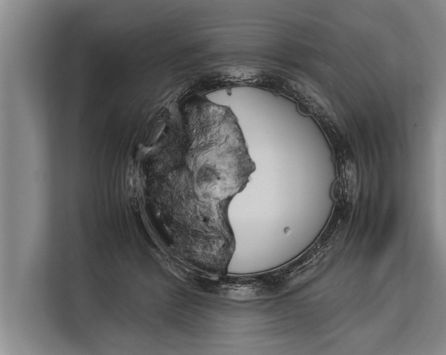 X0000113030412200909171505