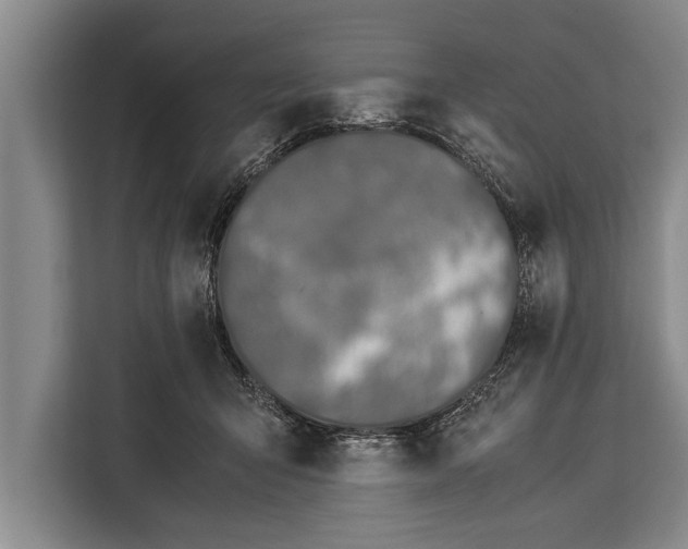 X0000113030415200909171505