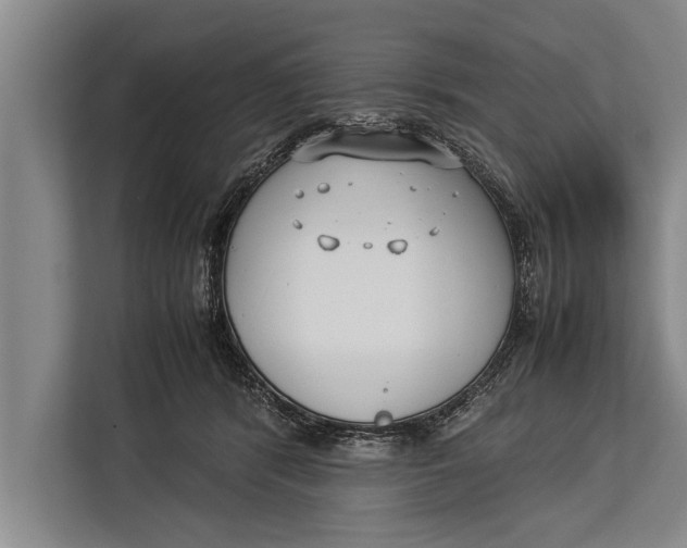 X0000113030416200909171505