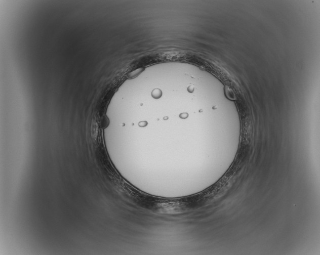 X0000113030417200909171505