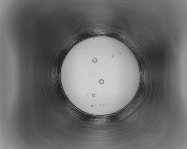 X0000113030418200909171505