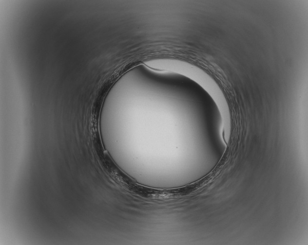 X0000113030419200909171505