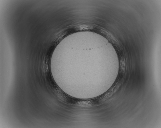 X0000113030422200909171505