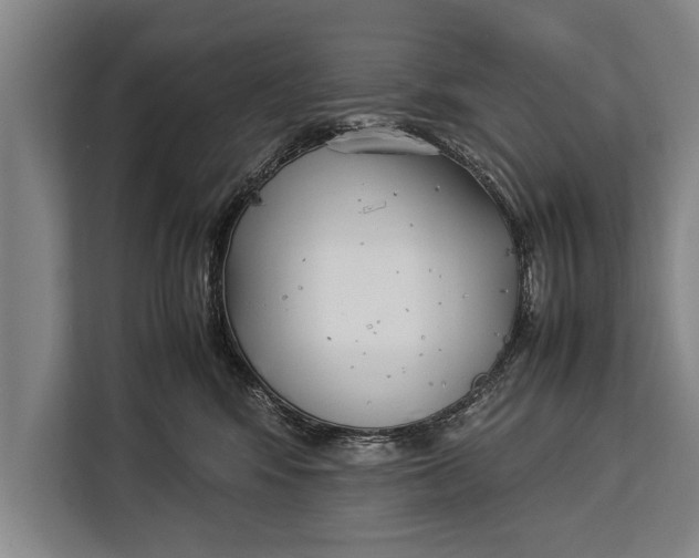 X0000113030424200909171505