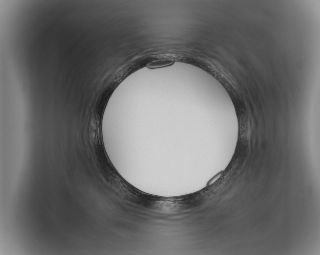 X0000113030425200909171505