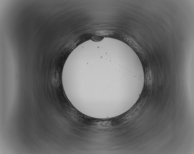 X0000113030426200909171505