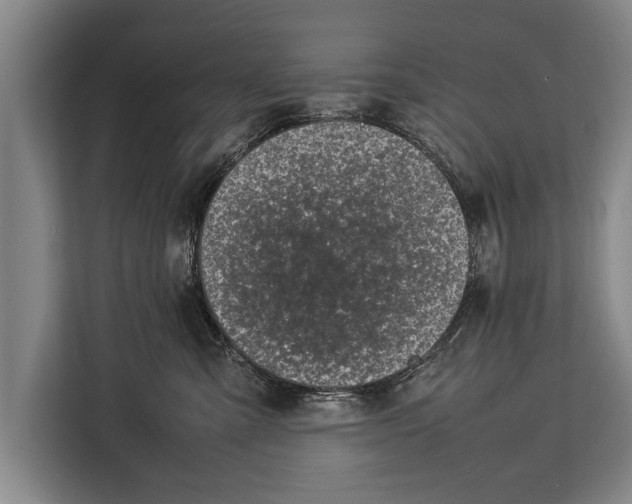 X0000113030427200909171505