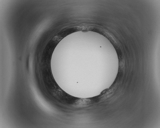 X0000113030429200909171505