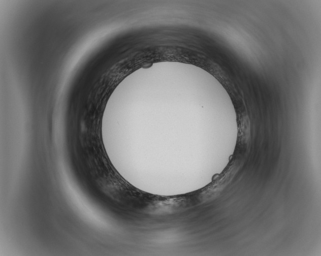 X0000113030430200909171505