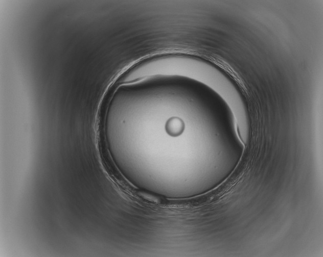 X0000113030436200909171504