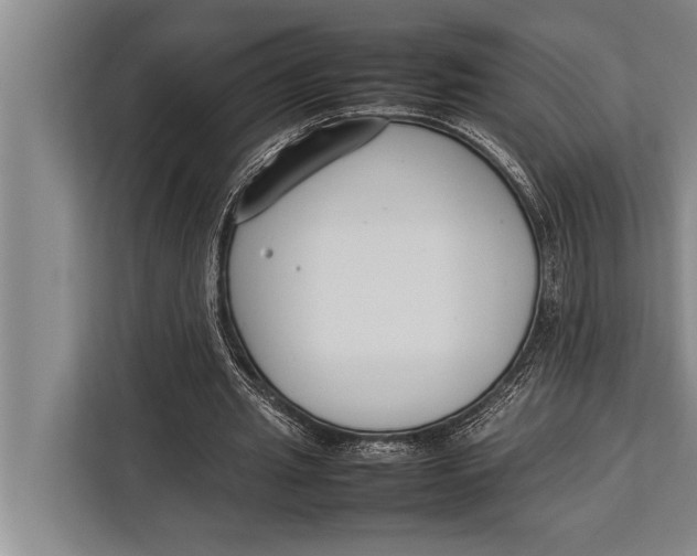 X0000113030437200909171504