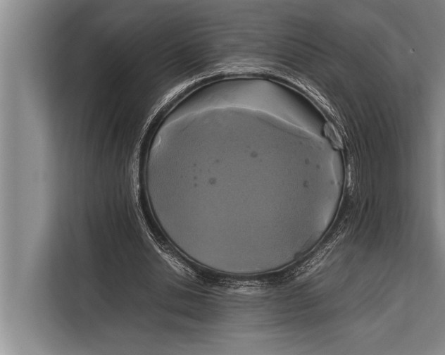 X0000113030438200909171504