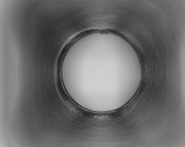 X0000113030440200909171504