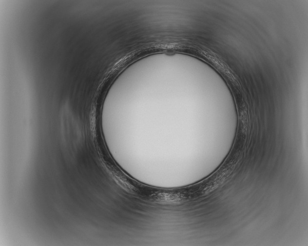 X0000113030442200909171504