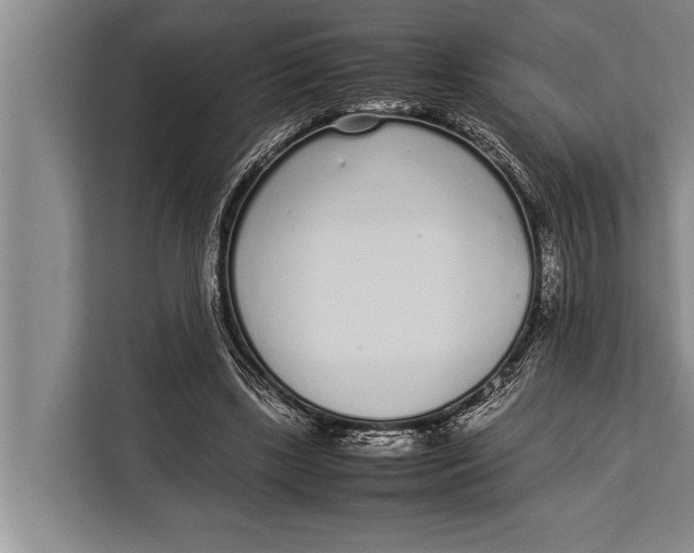 X0000113030443200909171504