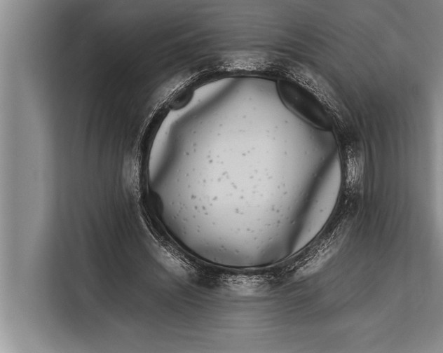 X0000113030444200909171504