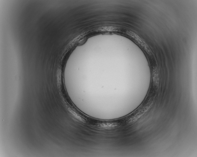 X0000113030445200909171504