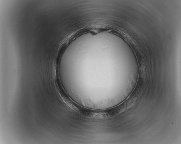 X0000113030446200909171504