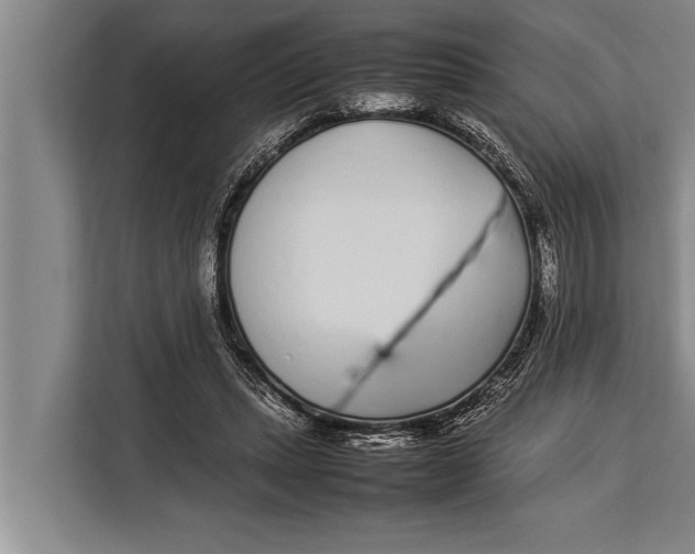 X0000113030447200909171504