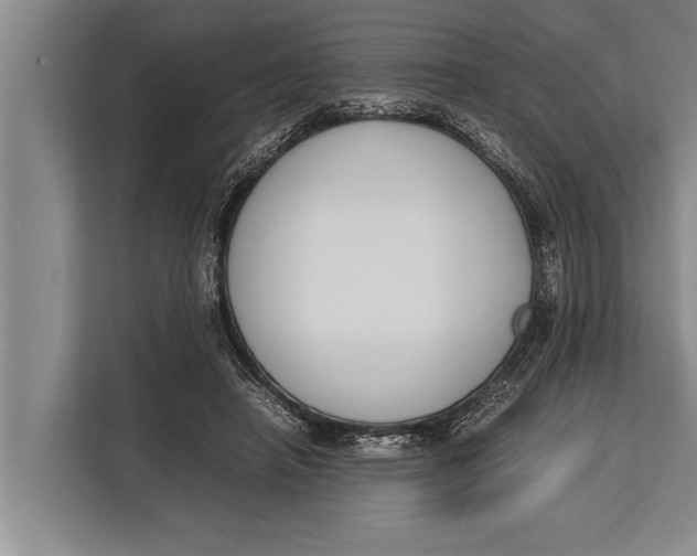 X0000113030450200909171504