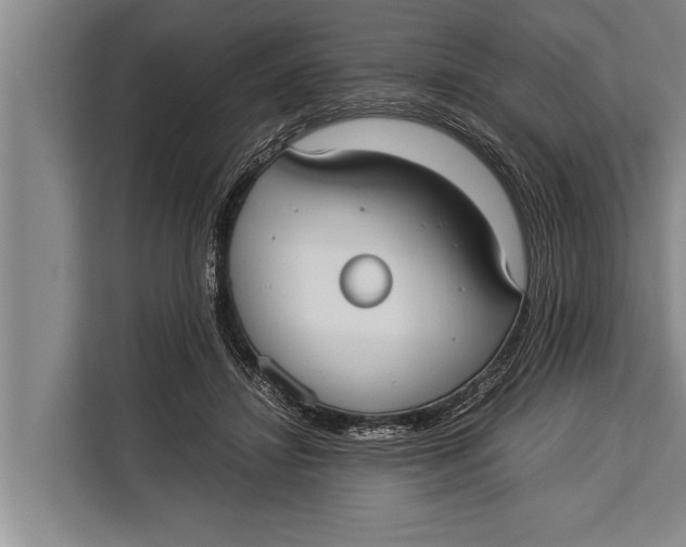 X0000113030452200909171504