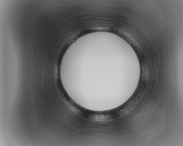 X0000113030453200909171504