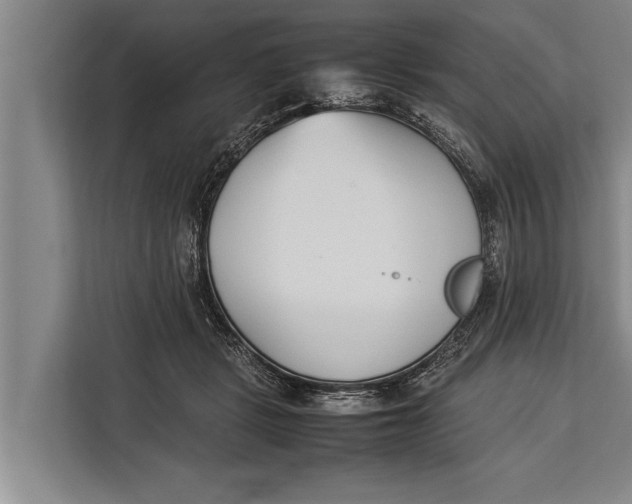 X0000113030461200909171504