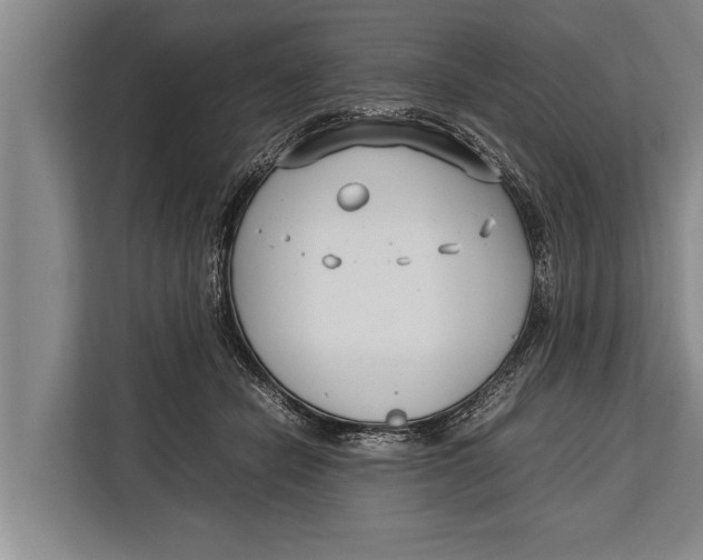 X0000113030462200909171504