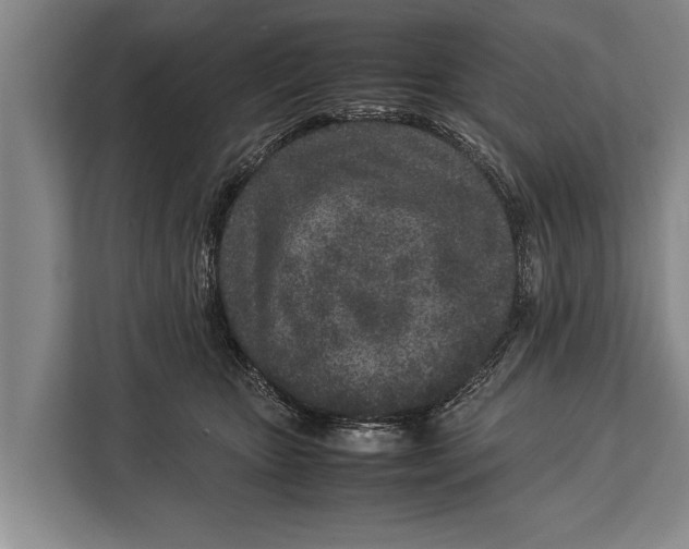 X0000113030467200909171504