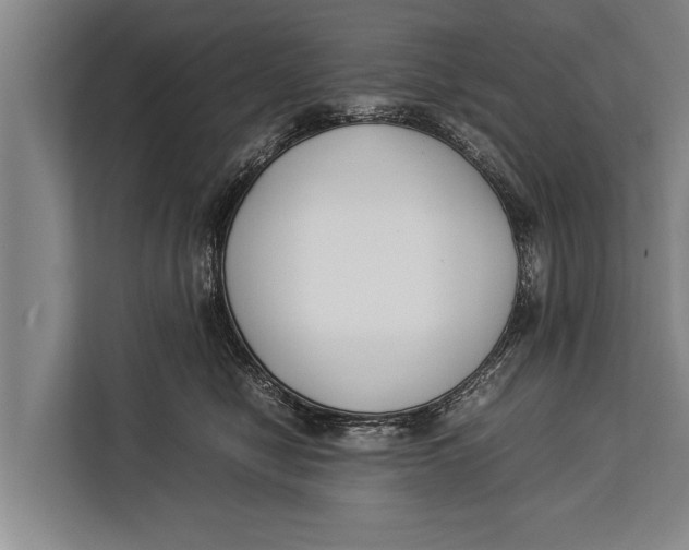 X0000113030470200909171504