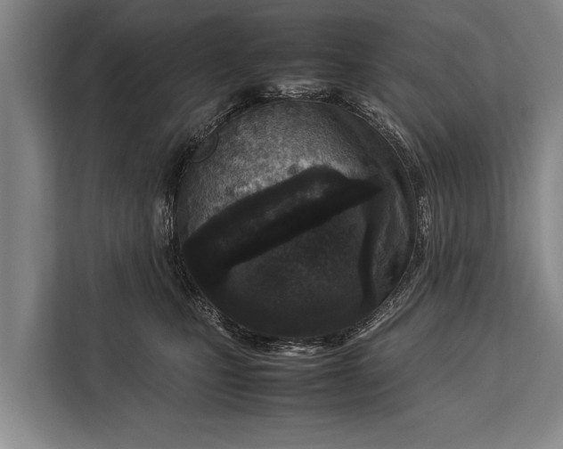 X0000113030471200909171504