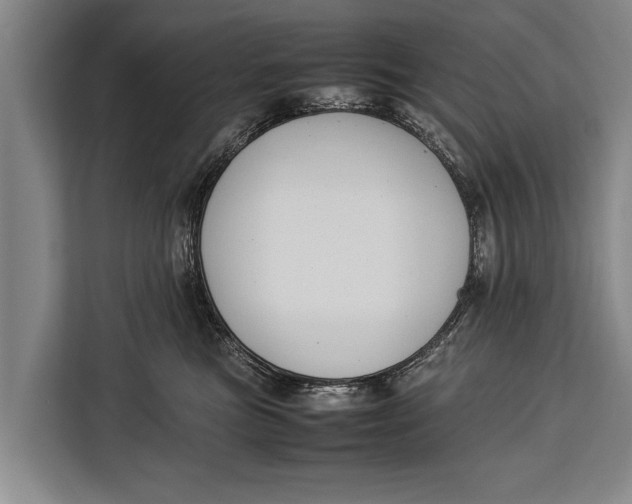 X0000113030473200909171504