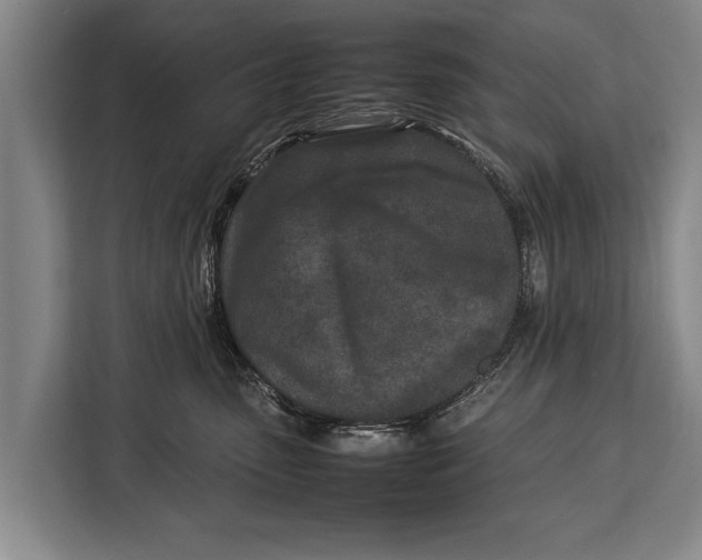 X0000113030475200909171504