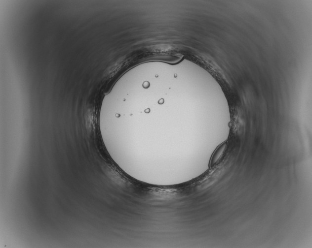 X0000113030476200909171504