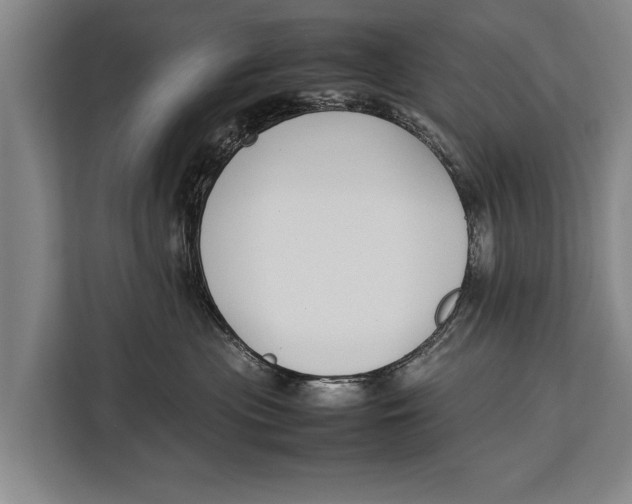 X0000113030477200909171504