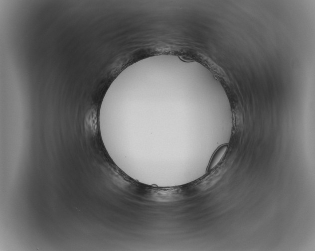 X0000113030479200909171504