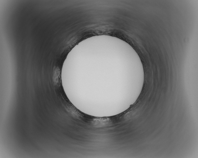 X0000113030480200909171504