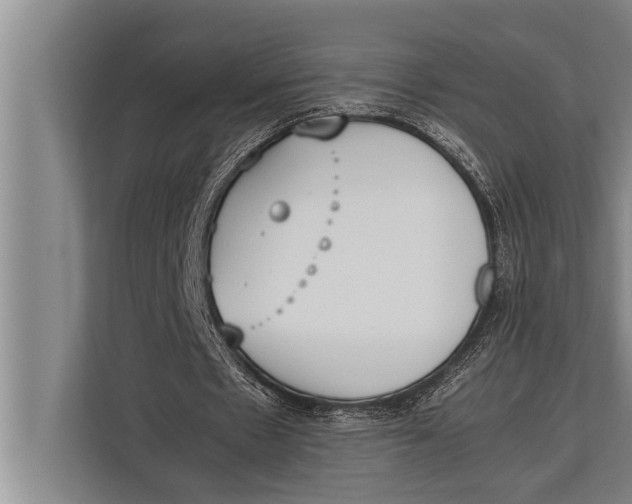 X0000113030481200909171504