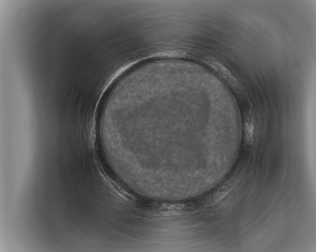 X0000113030484200909171504