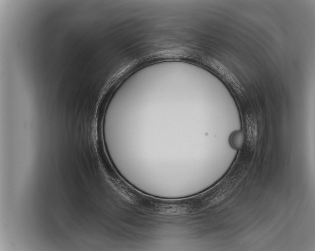 X0000113030486200909171504