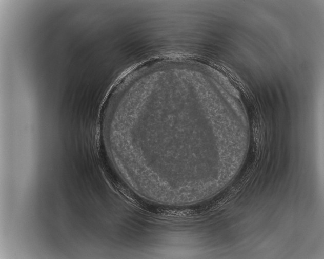 X0000113030488200909171504