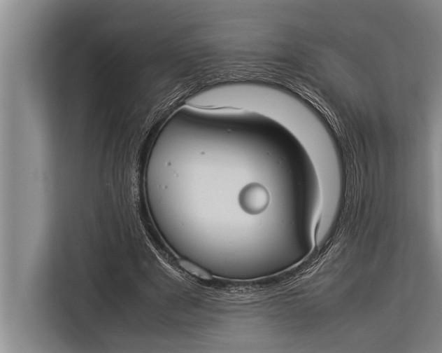 X0000113030489200909171504