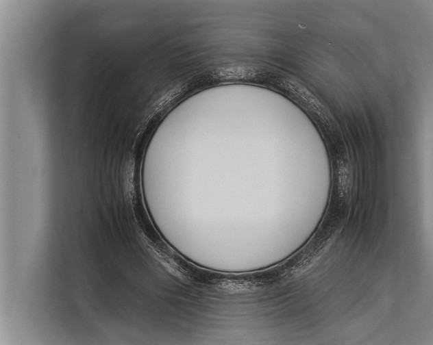 X0000113030490200909171504