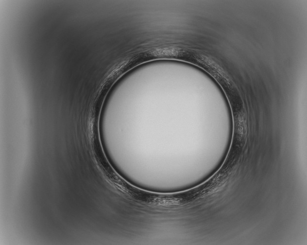 X0000113030491200909171504