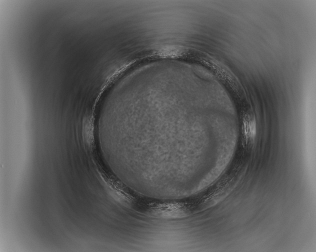 X0000113030492200909171504